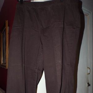 Women's Pull-On Brown Pants